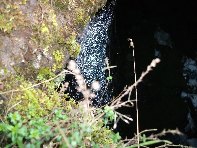 otta Forcato20110213 029